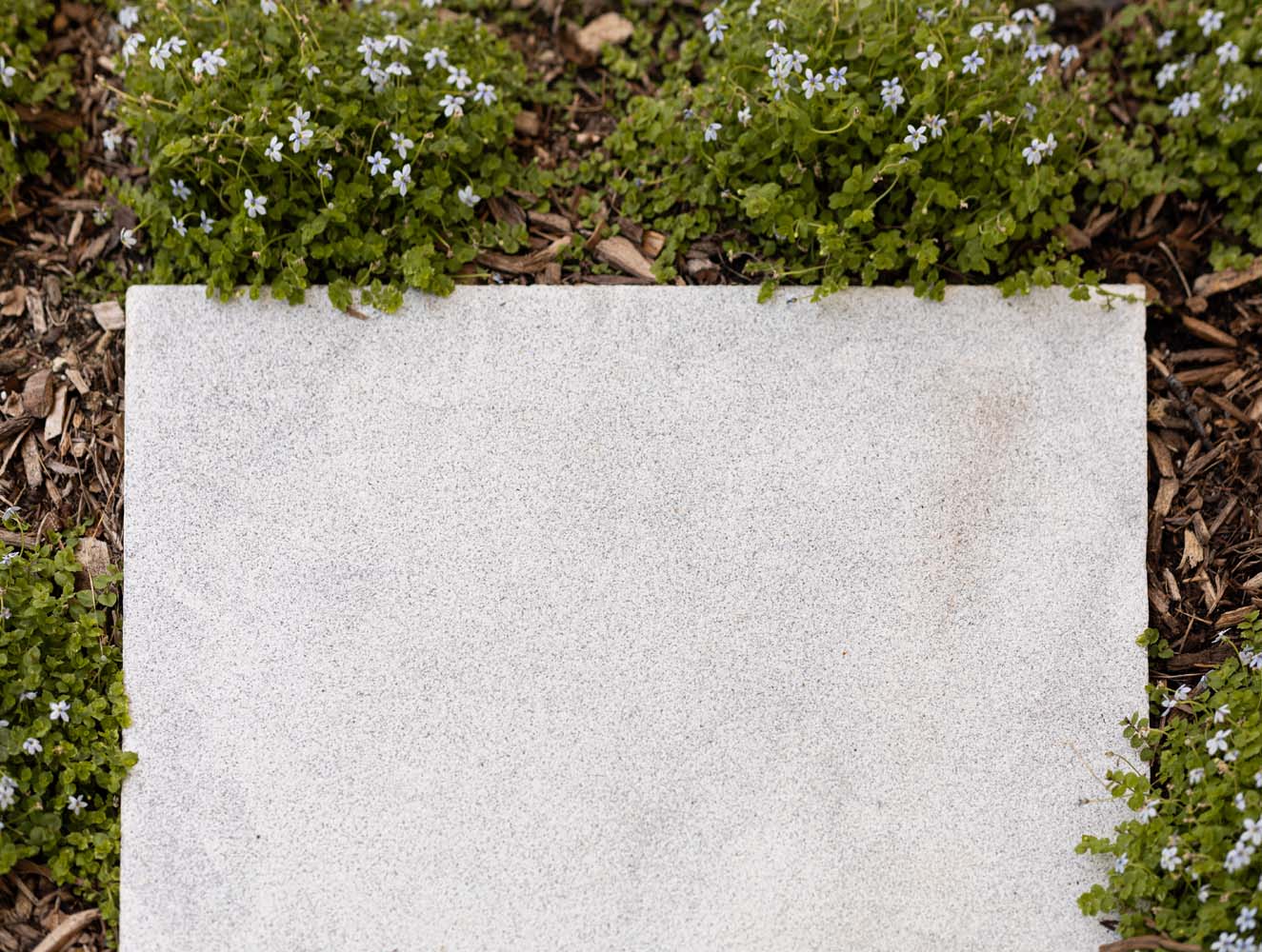 25EF9946-D697-4858-AB7D-ABBB27DF14C1