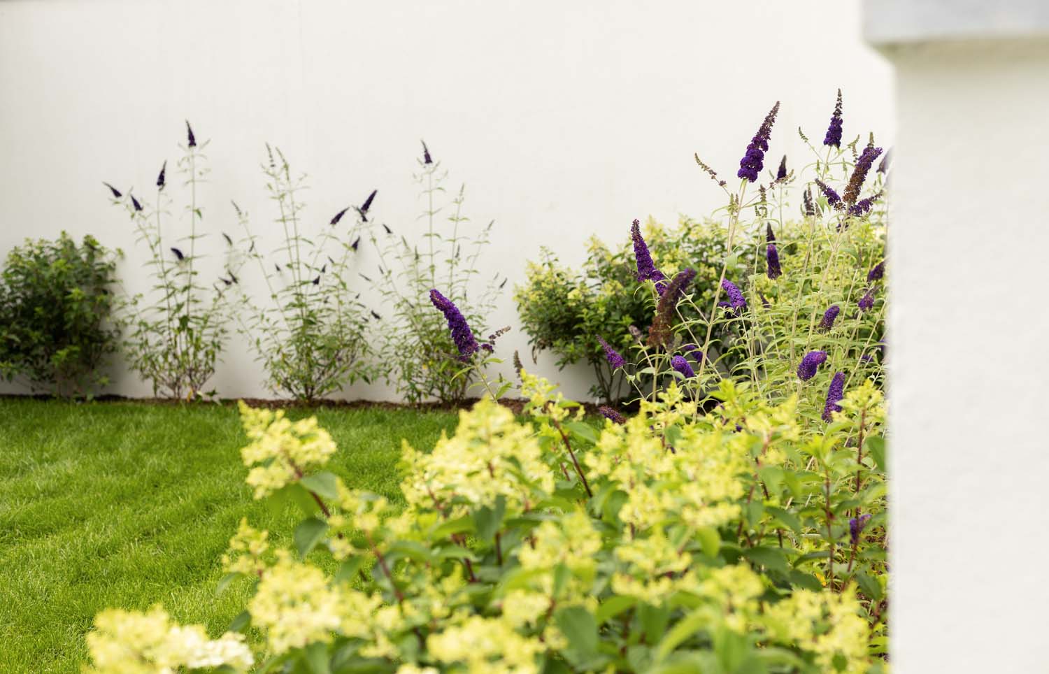 94CA5198-2A35-48BF-8D90-202A9E601BC4