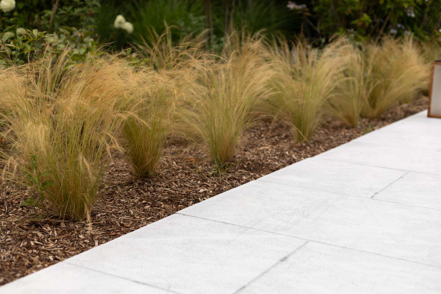 CB32700A-A06C-4F87-BECF-636863B0513C