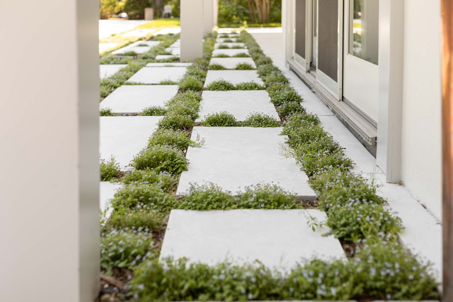 EB3DA5DE-B5B2-4189-83BD-09F164963CE8